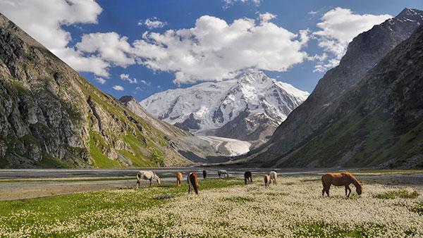3 bonnes raisons de visiter le Kirghizistan