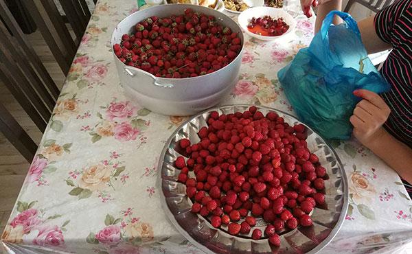 La confection des confitures au Kirghizistan, toute une tradition